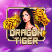 jl36 live Dragon Tiger